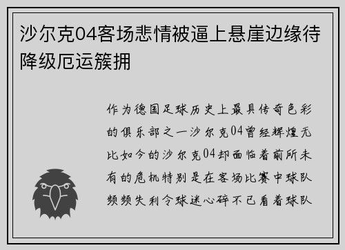沙尔克04客场悲情被逼上悬崖边缘待降级厄运簇拥